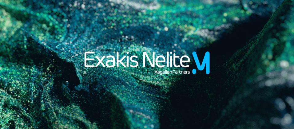 Logo Exakis Nelite sur fond motif vert